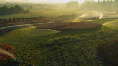 浇水植物春天花园视图灌溉系统早期早....